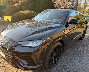 Lamborghini Urus Gebrauchtwagen