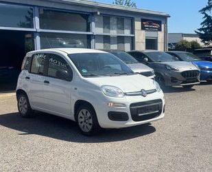 Fiat Panda Gebrauchtwagen