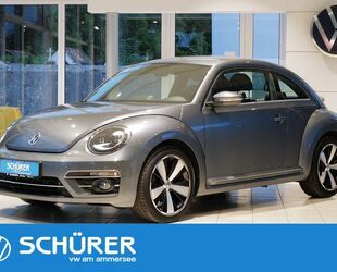 VW Beetle Gebrauchtwagen