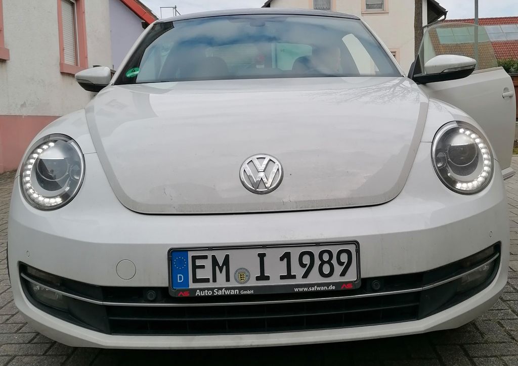Bild 1