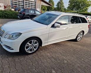 Mercedes-Benz E 220 Gebrauchtwagen