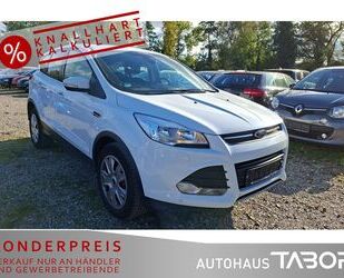 Ford Kuga Gebrauchtwagen