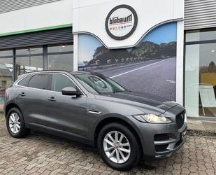 Jaguar F-Pace Gebrauchtwagen