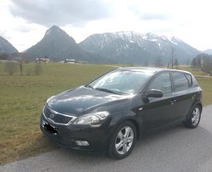 Kia ceed / Ceed Gebrauchtwagen