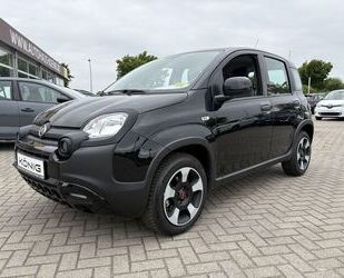 Fiat Panda Gebrauchtwagen