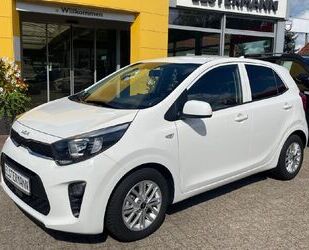 Kia Picanto Gebrauchtwagen