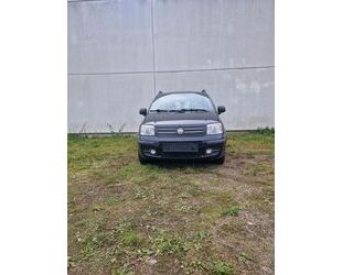 Fiat Panda Gebrauchtwagen