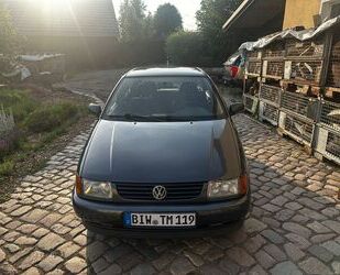 VW Polo Gebrauchtwagen