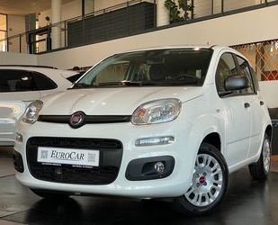 Fiat Panda Gebrauchtwagen