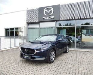Mazda Mazda CX-30 SKY-G 150PS M-HYBRID SELECT DESIGN & P Gebrauchtwagen