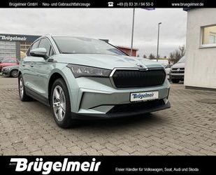 Skoda Enyaq Gebrauchtwagen