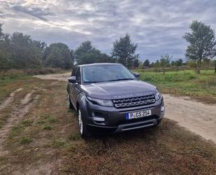 Land Rover Range Rover Evoque Gebrauchtwagen