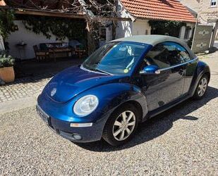 VW Beetle Gebrauchtwagen