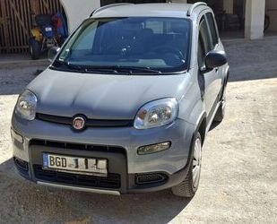 Fiat Panda Gebrauchtwagen