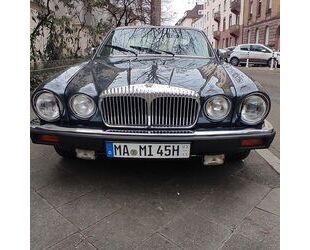 Jaguar XJ12 Gebrauchtwagen
