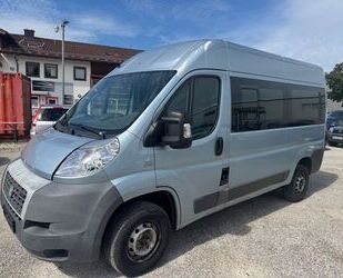 Fiat Ducato Gebrauchtwagen