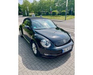 VW Beetle Gebrauchtwagen