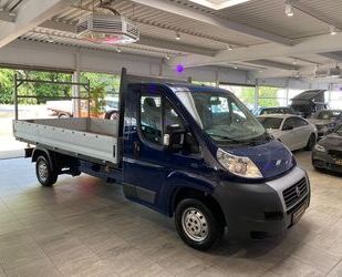 Fiat Ducato Gebrauchtwagen