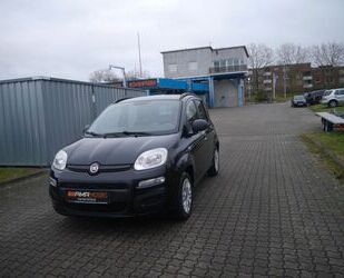 Fiat Panda Gebrauchtwagen