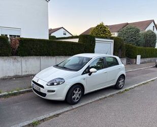 Fiat Punto Gebrauchtwagen