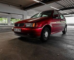 VW Polo Gebrauchtwagen