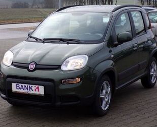 Fiat Panda Gebrauchtwagen