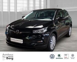 Opel Grandland (X) Gebrauchtwagen