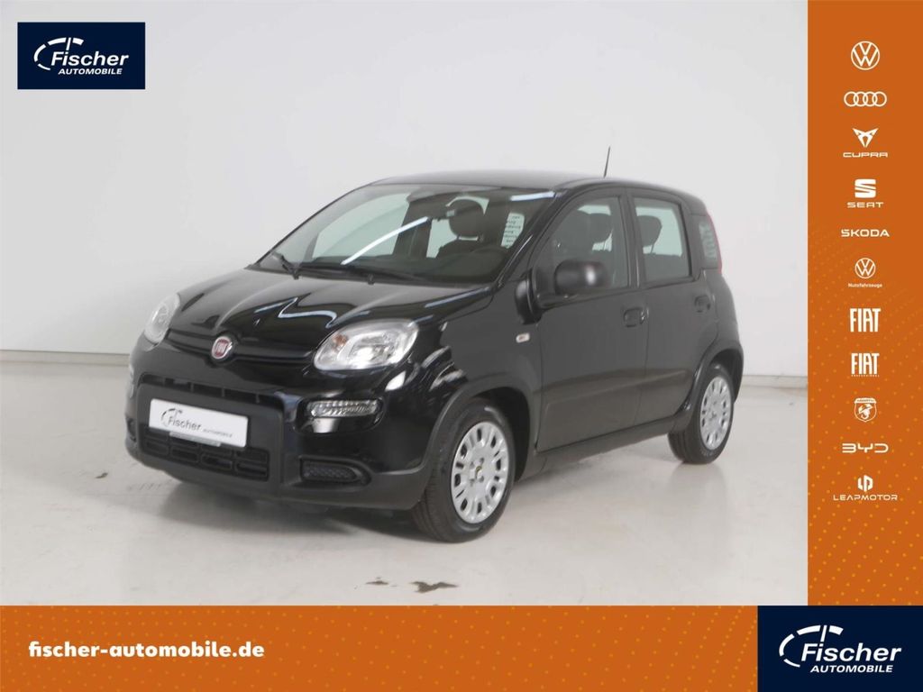 Bild 1