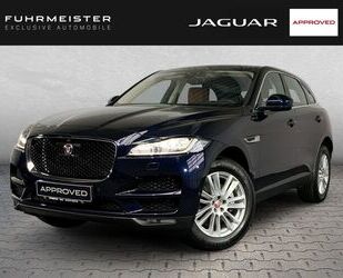 Jaguar F-Pace Gebrauchtwagen