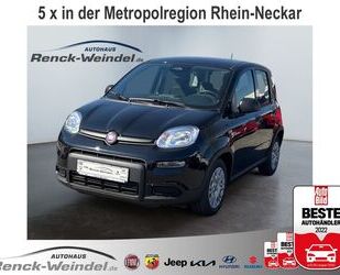 Fiat New Panda Gebrauchtwagen