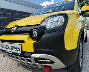 Fiat Panda Gebrauchtwagen