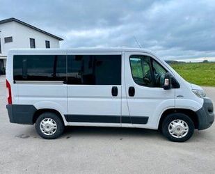 Fiat Ducato Gebrauchtwagen
