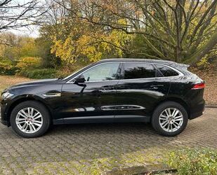 Jaguar F-Pace Gebrauchtwagen