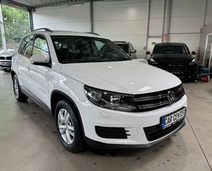 VW Tiguan Gebrauchtwagen