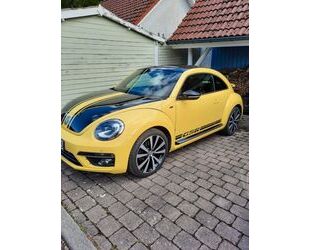 VW Beetle Gebrauchtwagen