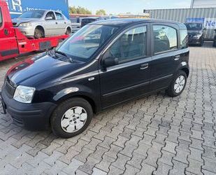 Fiat Panda Gebrauchtwagen