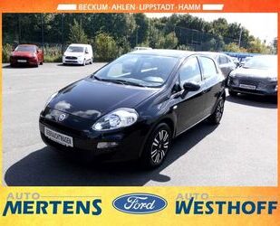 Fiat Punto Gebrauchtwagen