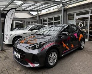 Mazda 2 Gebrauchtwagen