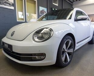 VW Beetle Gebrauchtwagen