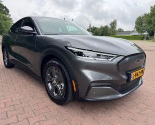 Ford Mustang Mach-E Gebrauchtwagen