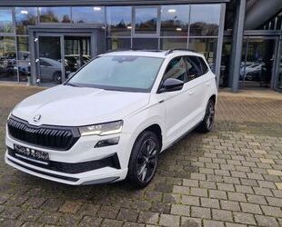 Skoda Karoq Gebrauchtwagen