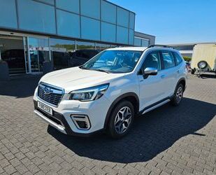 Subaru Forester Gebrauchtwagen
