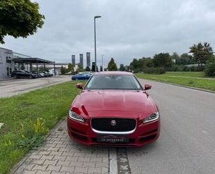 Jaguar XE Gebrauchtwagen