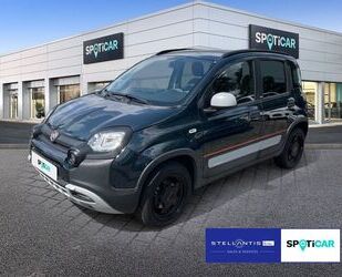 Fiat Panda Gebrauchtwagen