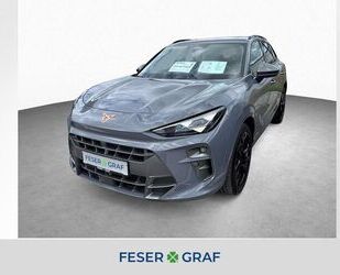 Cupra Terramar Gebrauchtwagen