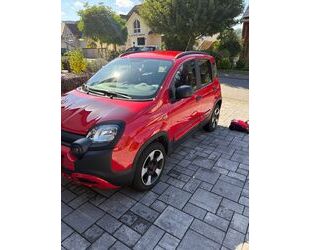 Fiat Panda Gebrauchtwagen