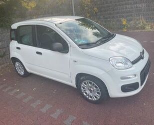 Fiat New Panda Gebrauchtwagen