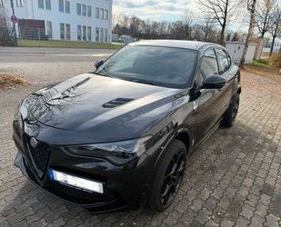 Alfa Romeo Stelvio Gebrauchtwagen