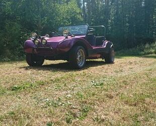 VW Buggy Gebrauchtwagen
