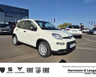 Fiat Panda Gebrauchtwagen